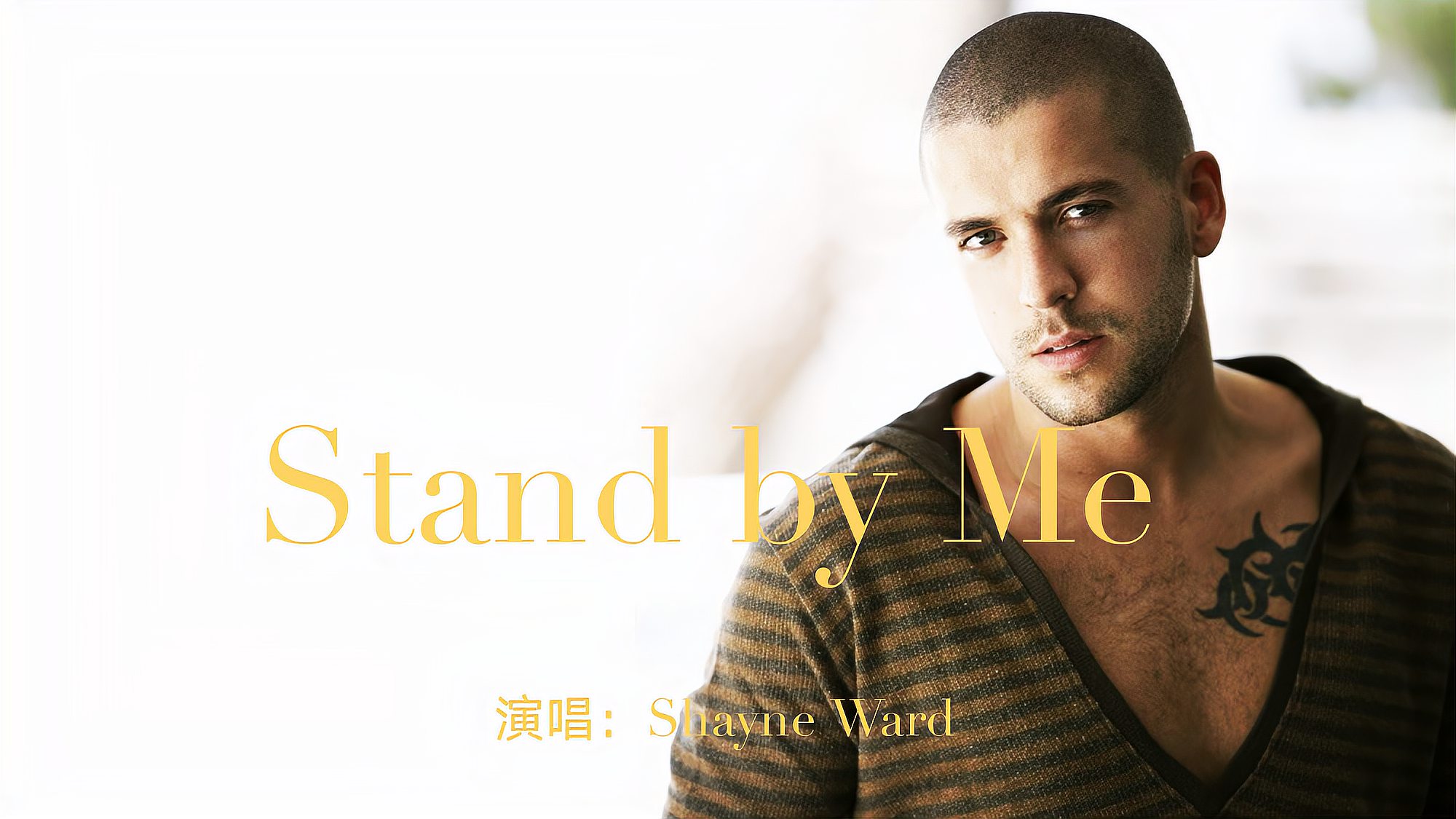 [图]肖恩·沃德经典歌曲《Stand By Me》，带你感受让人无法抗拒的声音