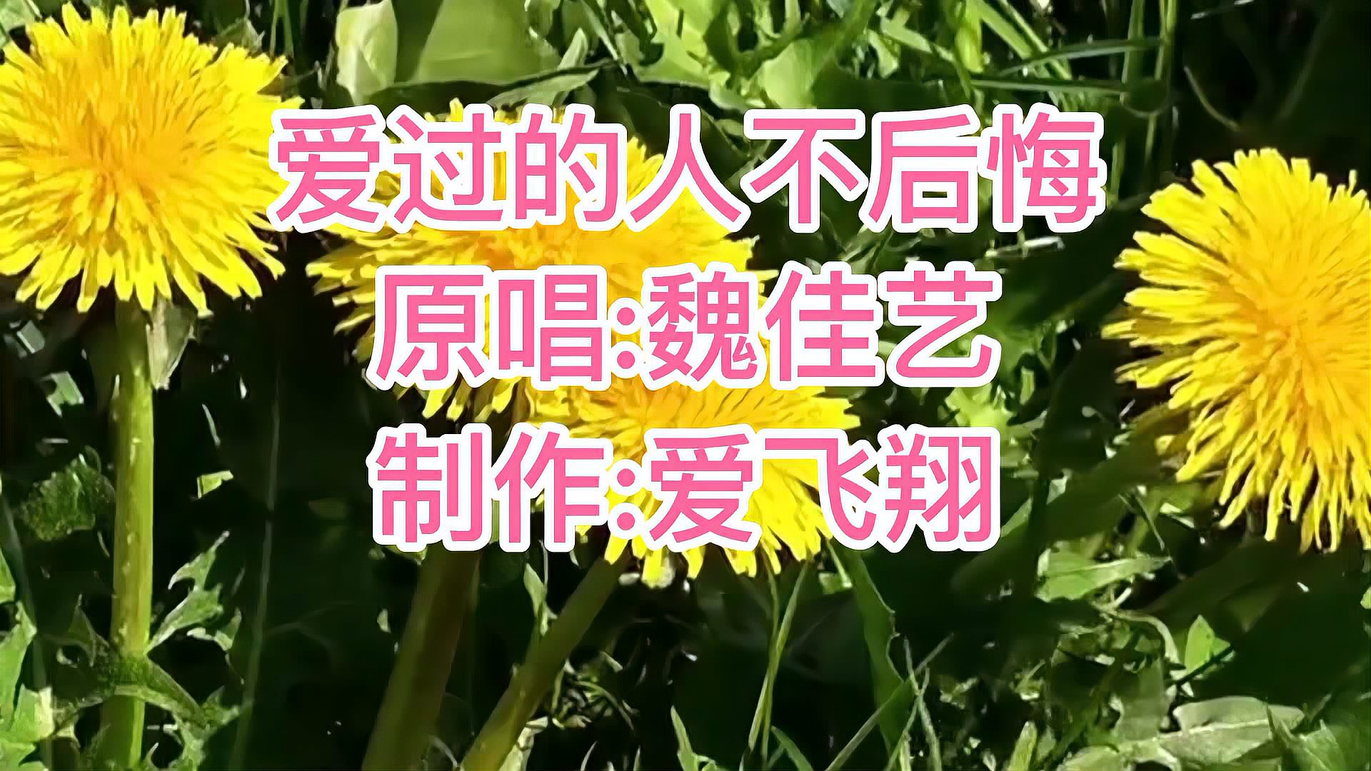 [图]魏佳艺一首新歌《爱过的人不后悔》不管最后你成了谁的谁