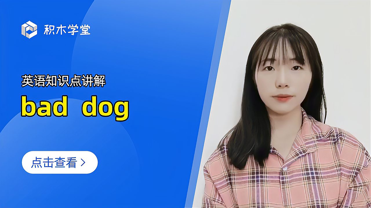 [图]英语知识点讲解 bad dog