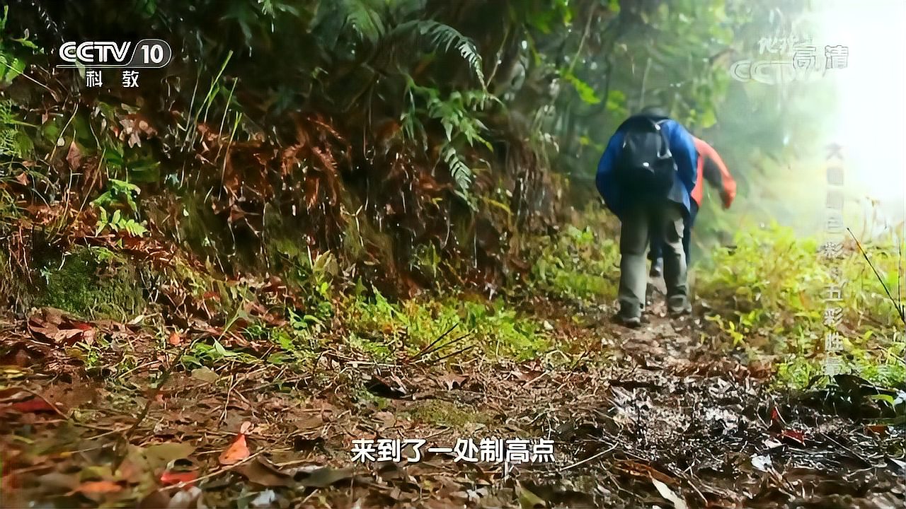 [图][地理·中国]红河哈尼梯田水源的秘密