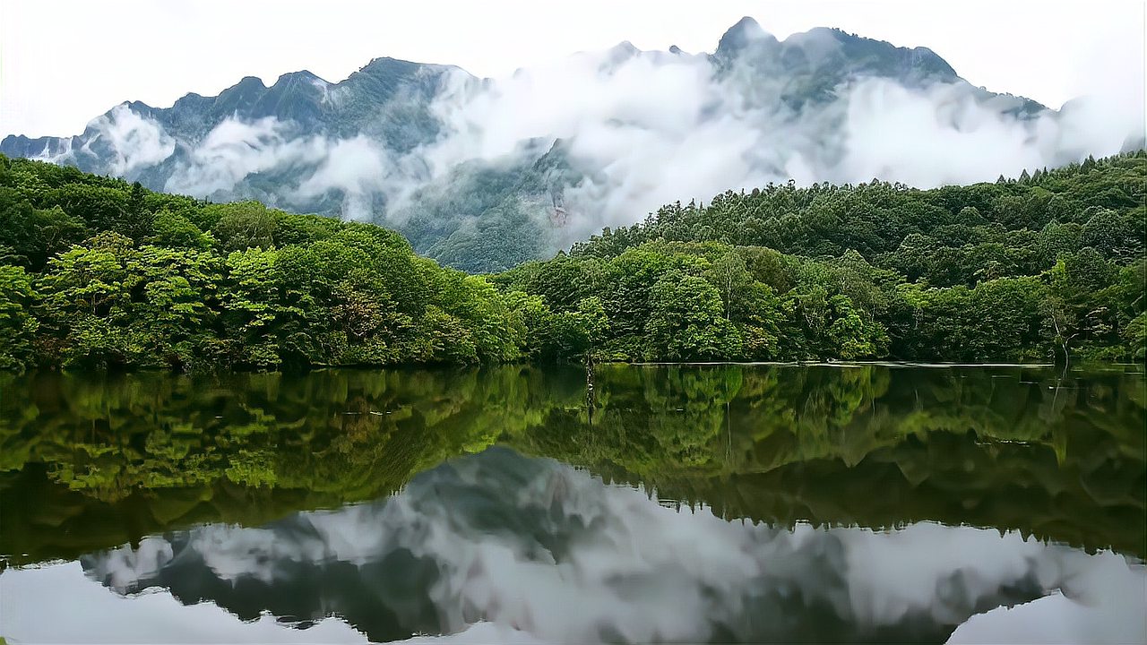 [图]古琴与箫声完美结合,一曲《无量心》带你忘却尘世喧嚣,无量自在