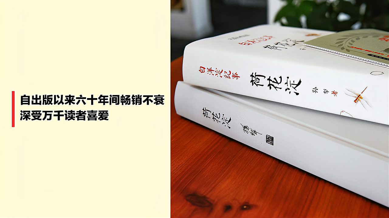 [图]《白洋淀纪事 荷花淀》莫言、贾平凹、茅盾推崇的孙犁深入导读版