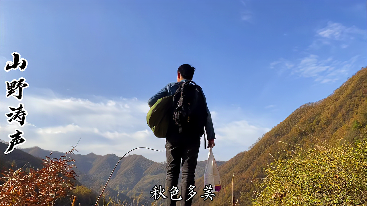 [图]回家的路才是最美的风景，小伙带你看秦岭深处人家，感受深山的秋