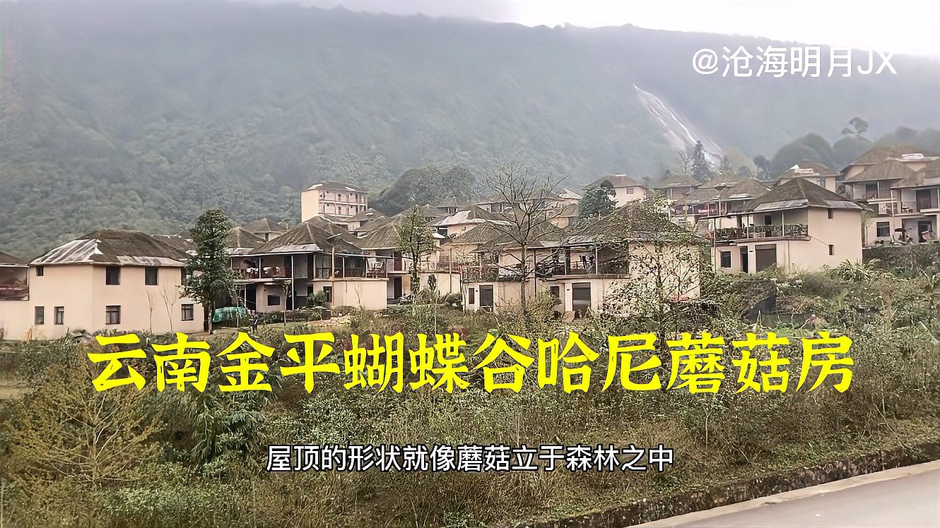 探访云南金平蝴蝶谷哈尼族村落,70多户人家居住