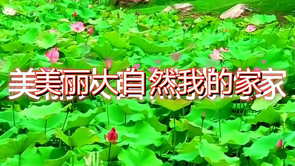 [图]冬去春来,春暖花开