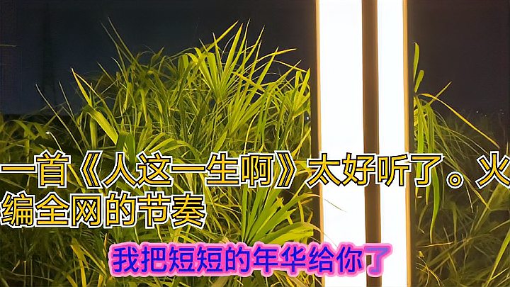 [图]一首《人这一生啊》太好听了。火编全网的节奏