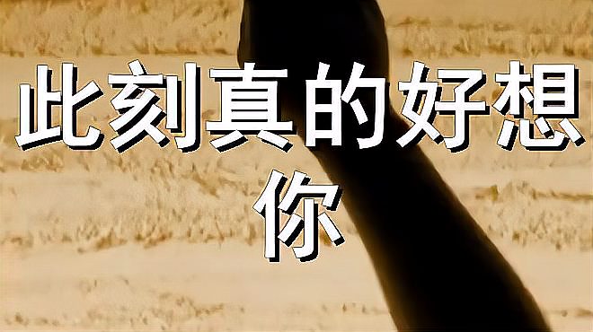 [图]雨中百合一首经典歌曲《此刻真的好想你》动听醉人心扉