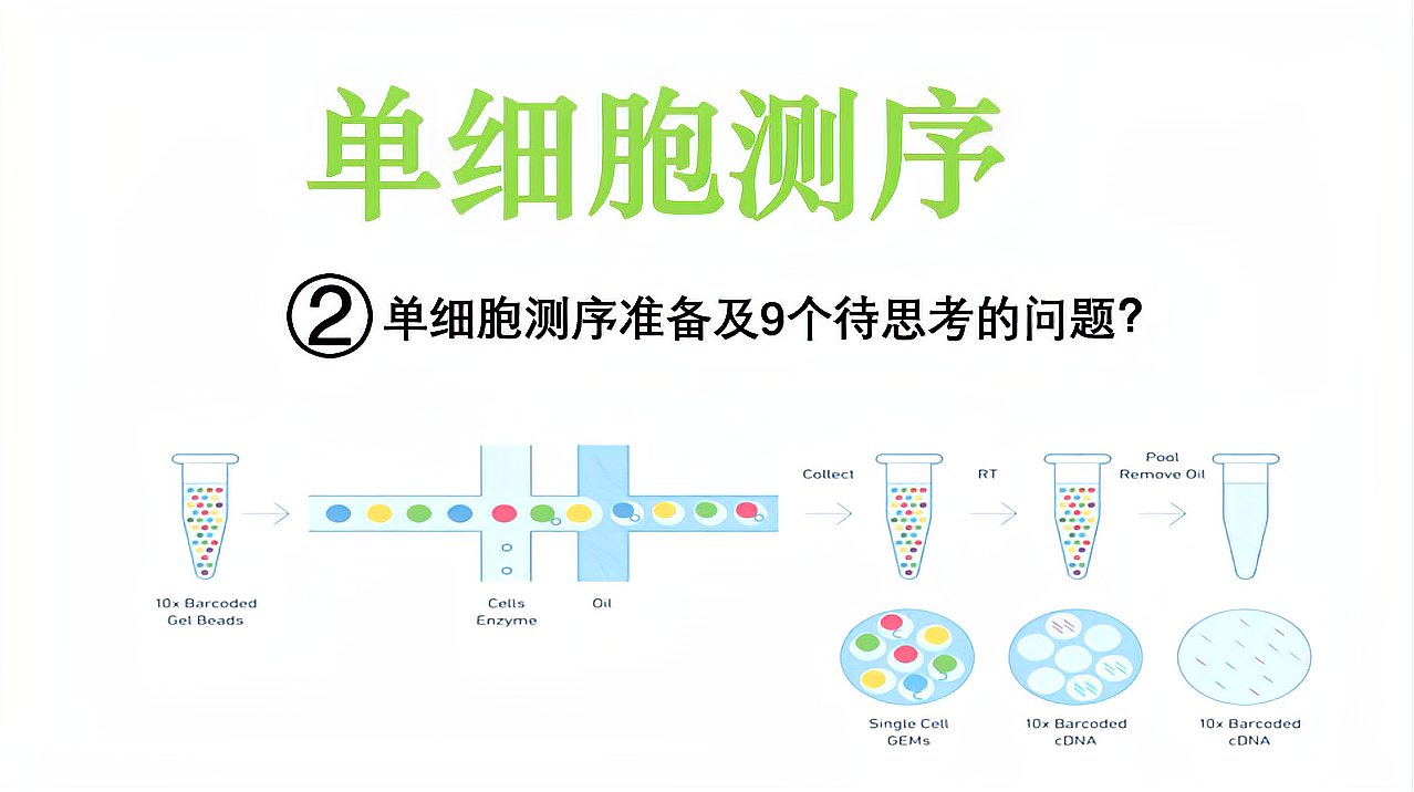 [图]单细胞测序系列第二讲单细胞测序准备条件及需要思考的9个问题