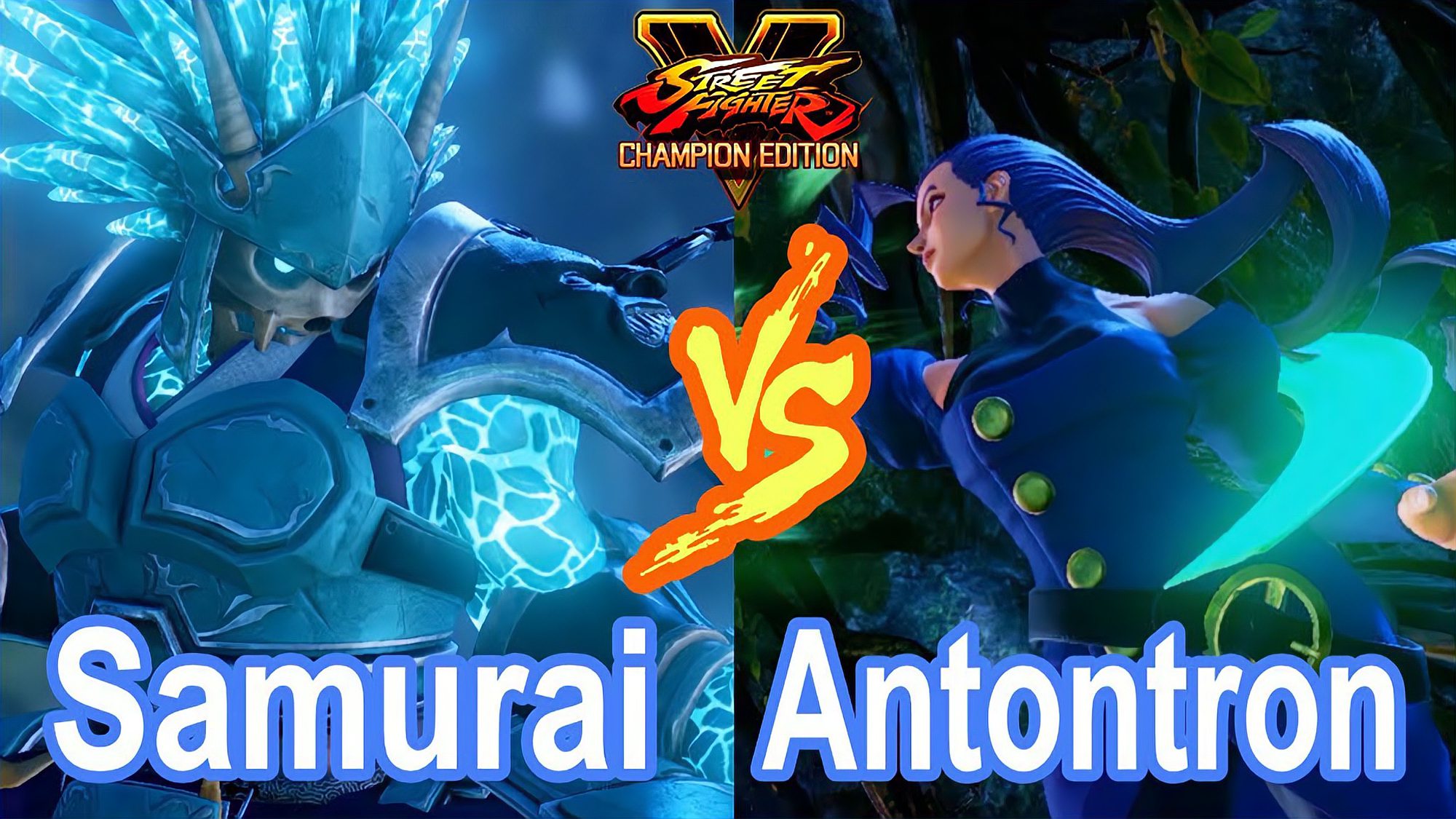 [图]街霸 5:Samurai(豪鬼)VS Antontron(罗丝)