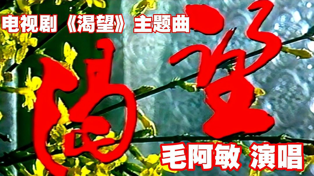 [图]《渴望》电视剧《渴望》主题曲,毛阿敏原唱,一代人难忘的记忆!