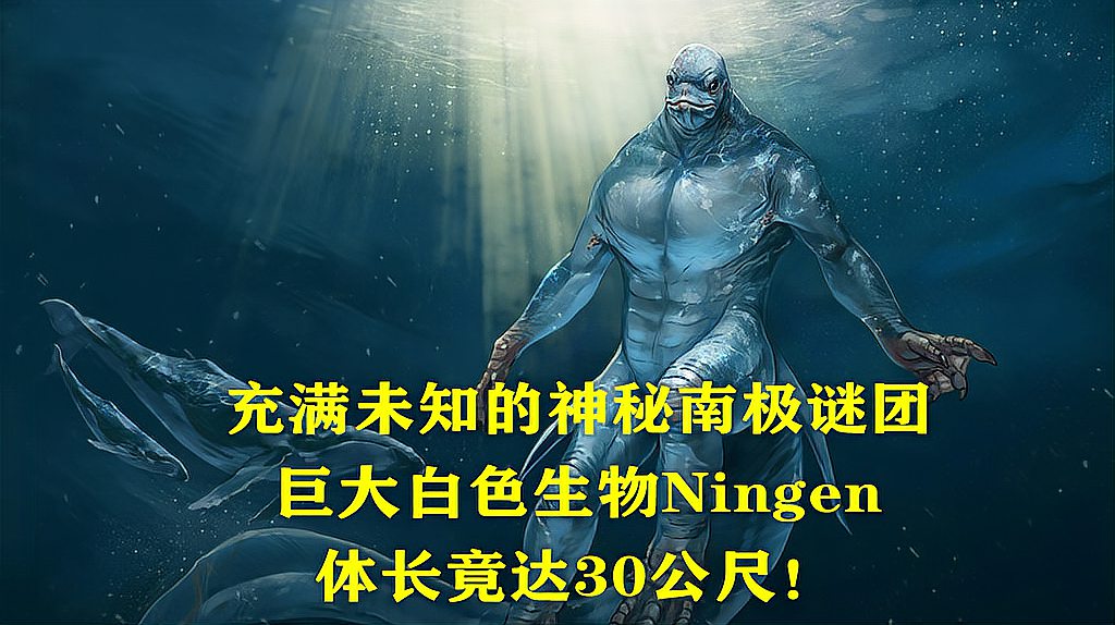 [图]充满未知的神秘南极谜团:巨大白色生物Ningen,体长竟达30公尺!