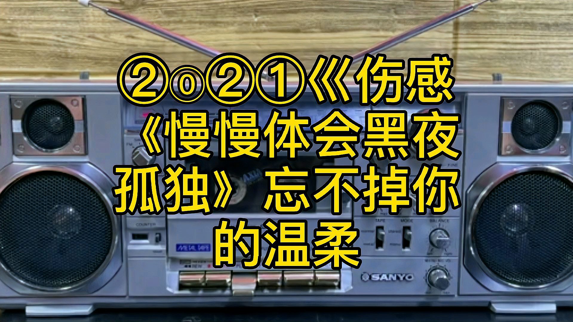 [图]2021~伤感《慢慢体会黑夜孤独》忘不掉你的温柔