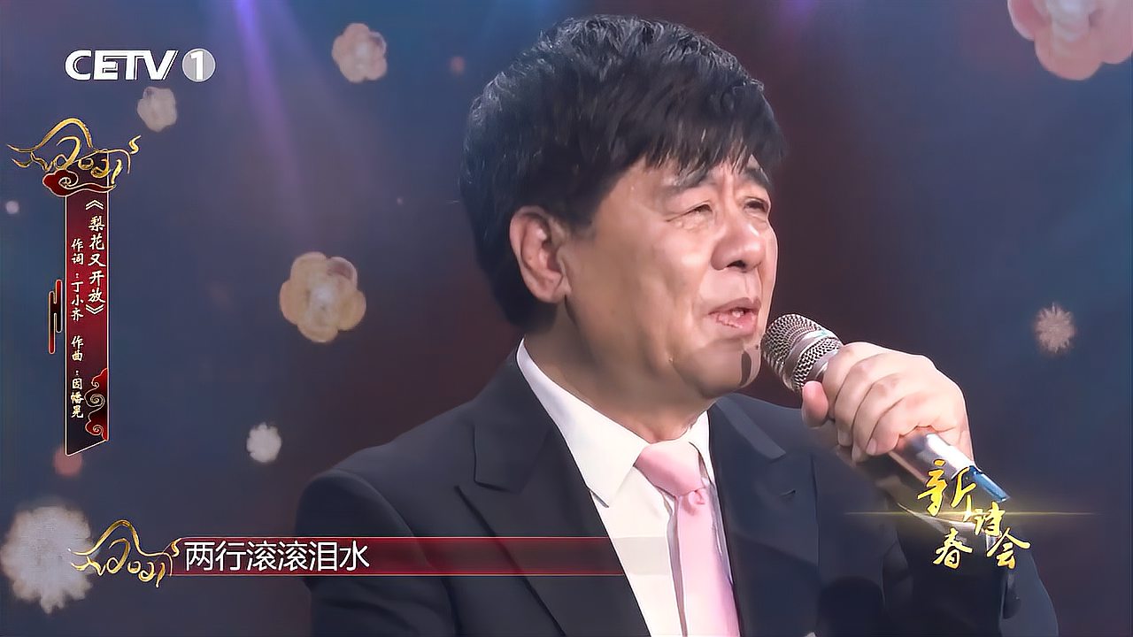 [图]王洁实演唱《梨花又开放》