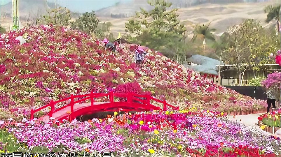 [图]相约踏青好去处 记者带你赴花宴