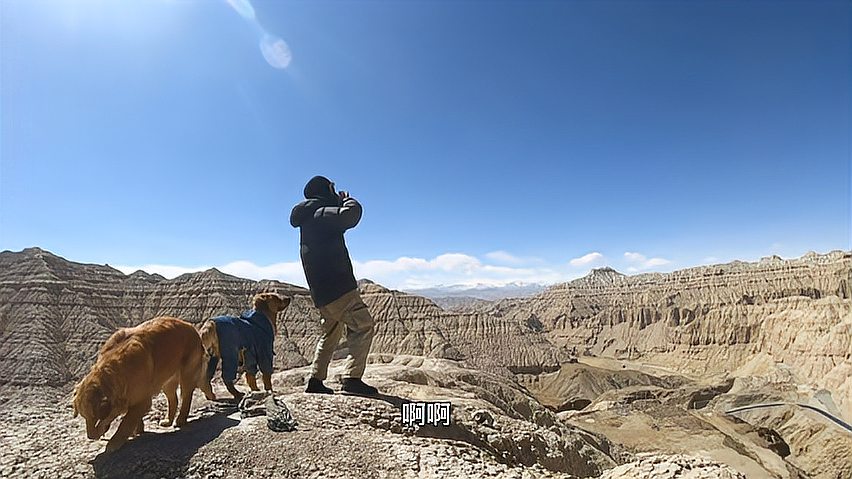 [图]带着狗狗登山顶看札达土林,寸草不生却无比壮观,山顶狗狗又拔河