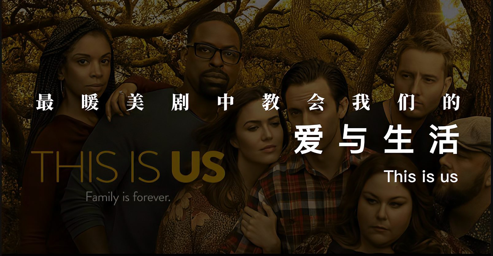 [图]豆瓣小众9.5分神片推荐:《this is us》教会我们的爱与生活