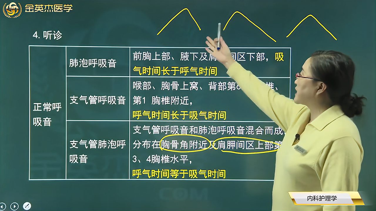 [图]内科护理学:听诊:正常呼吸音:肺泡、支气管、支气管肺泡呼吸音