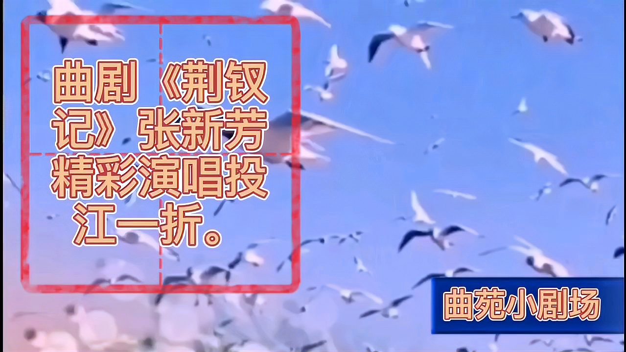 [图]曲剧《荆钗记》选段,张新芳演唱投江一折