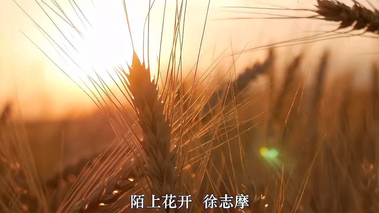 [图]重读经典—徐志摩《陌上花开》