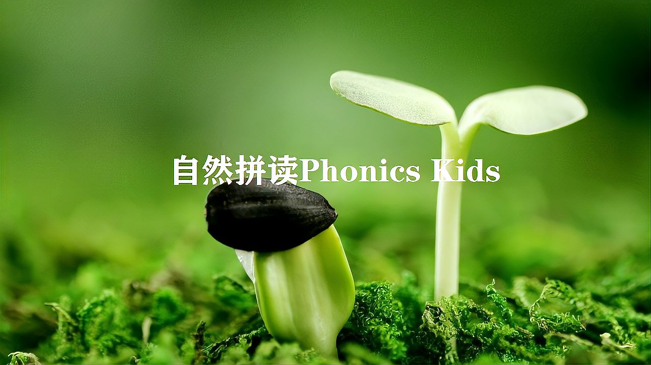 [图]台湾自然拼读Phonics Kids.1