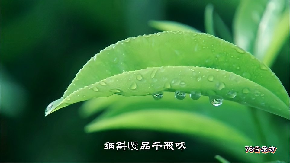 [图]静心音乐:古琴曲《茶韵》清茗一盏润心脾,细斟慢品千般味