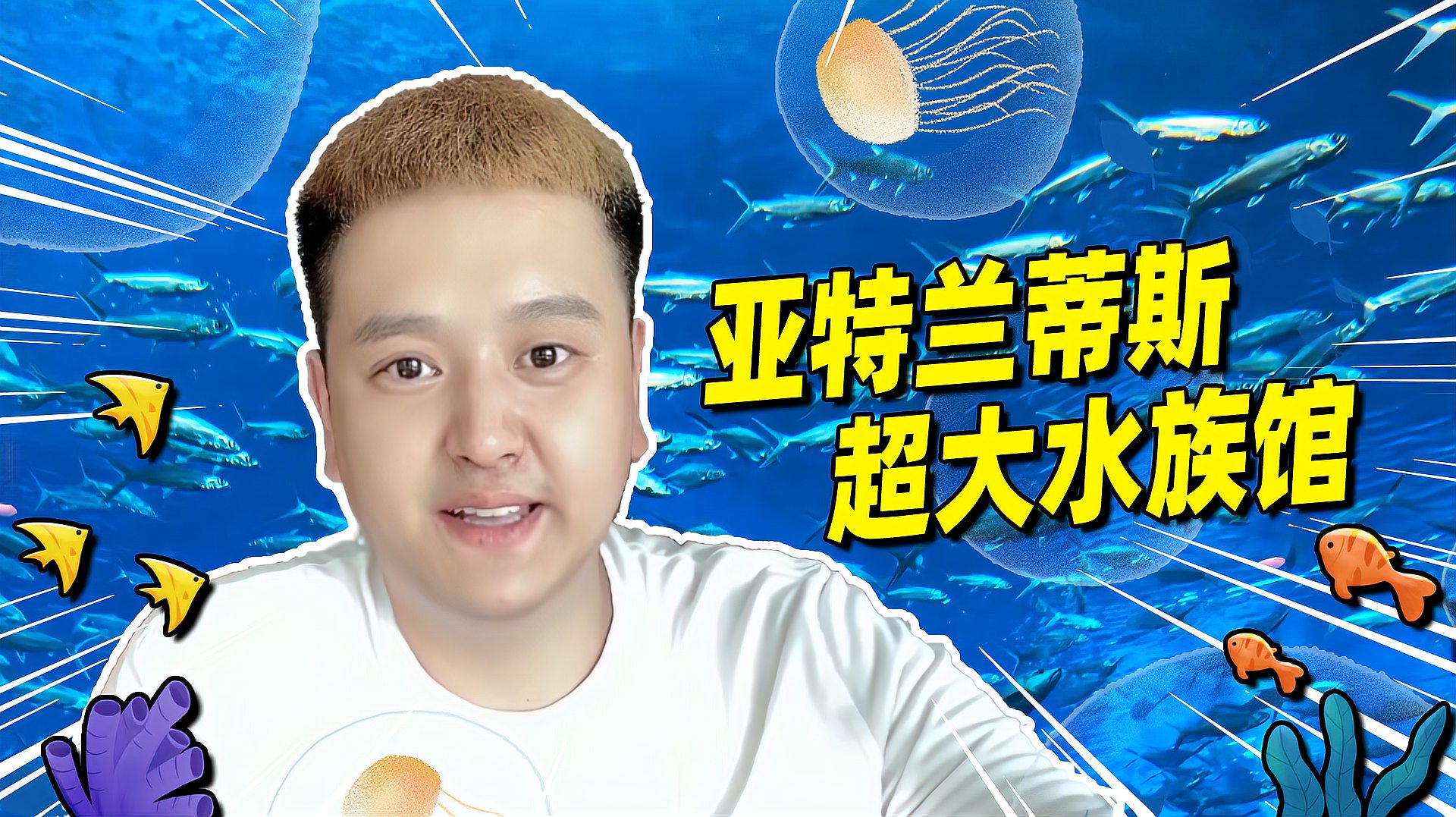 [图]乌鸦玩游戏:游览七星级酒店水族馆,好多色彩斑斓的鱼