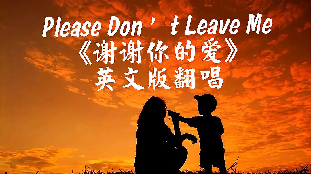 [图]英文版翻唱《Please Don’t Leave Me》