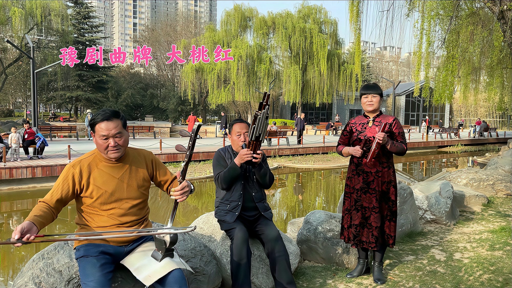 [图]广场一角,板胡,笙和棒子演奏,豫剧曲牌《大桃红》,这节奏快不