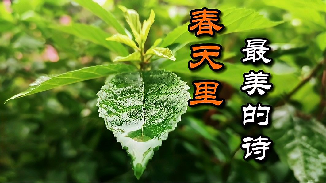 [图]一首与春天有关的唐诗,它美得与众不同,你可否喜欢?