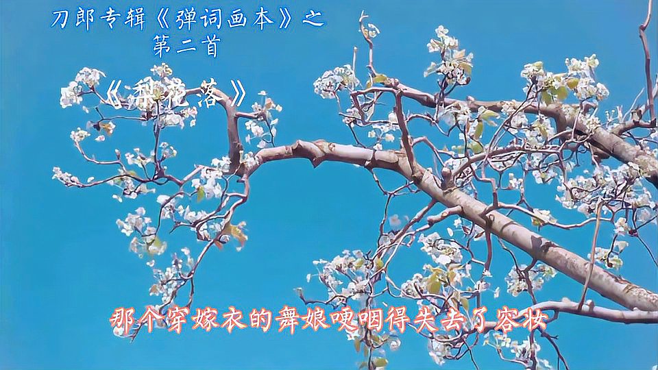 [图]刀郎新专辑《弹词画本》之灵魂单曲《梨花落》!