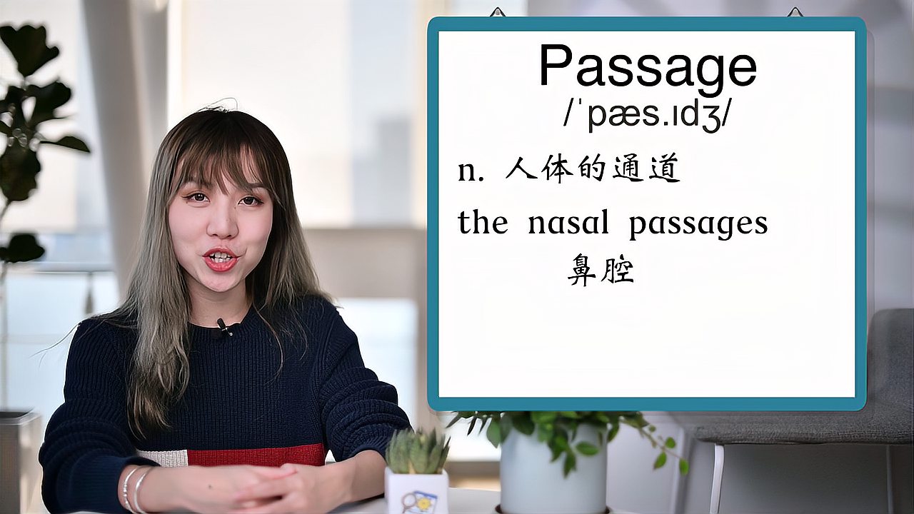 [图]英文单词详解:Passage