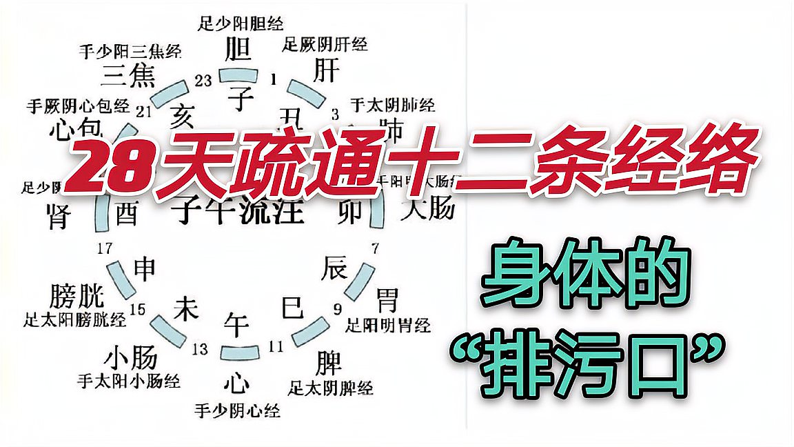 [图]瑜伽体式和中医经络学完美结合:人体的“健康大道”,膀胱经