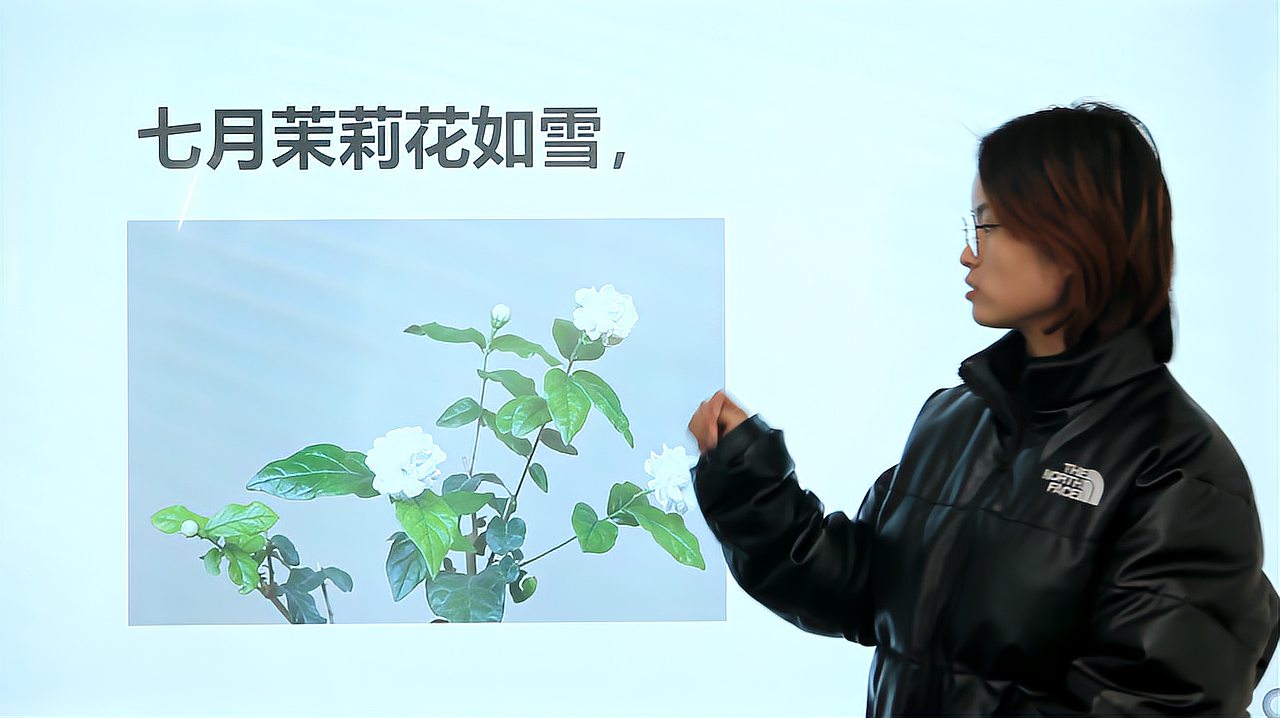 [图]小学语文：1年12个月的代表花分别是什么，你能记住几个？