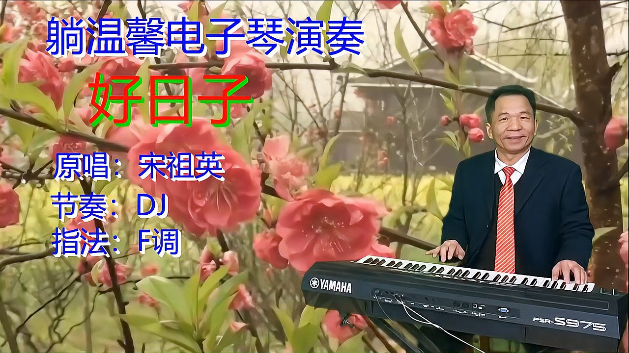 [图]电子琴《好日子》DJ版 原唱宋祖英 祝愿朋友们 心想的事儿都能成