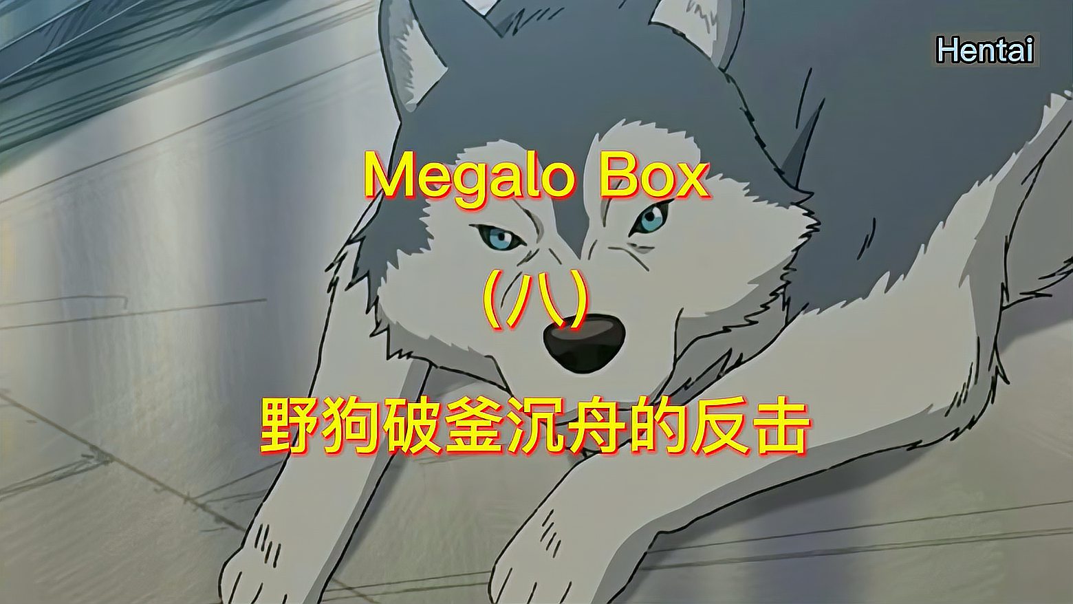 [图]Megalo Box:野狗破釜沉舟的反击