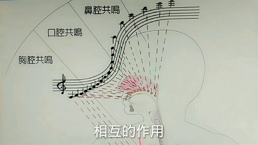 [图]歌唱的共鸣原理方法