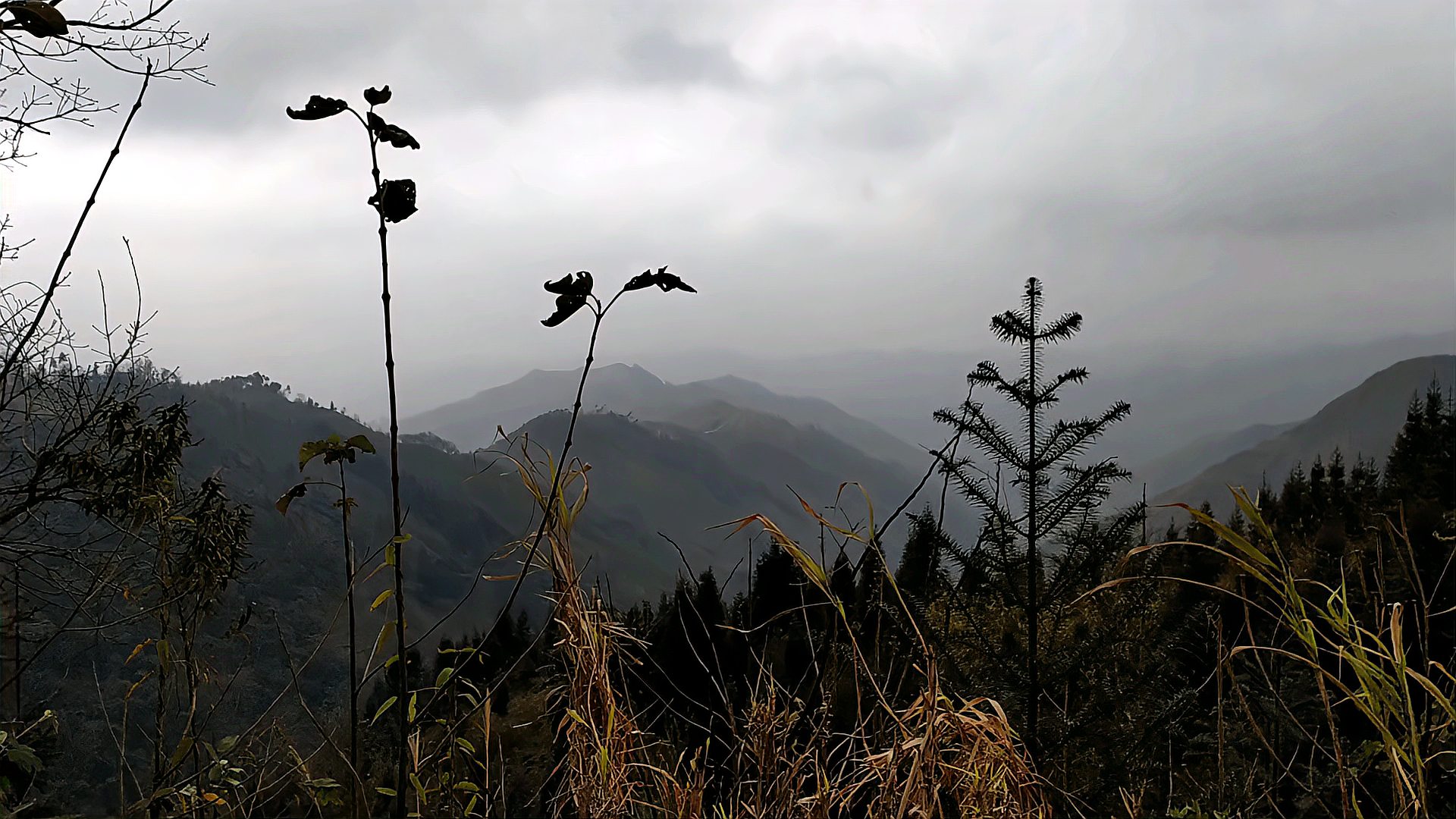 [图]贵州山里的孩子,心爱山