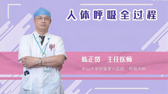 [图]人体呼吸全过程