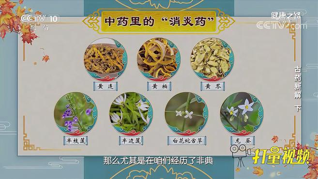 [图]金银花、双黄连、连翘等，都是中医里的“消炎药”｜健康之路