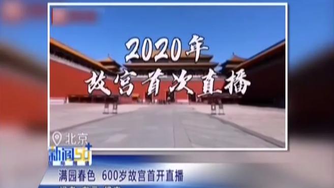 [图]北京:满园春色 600岁故宫首开直播