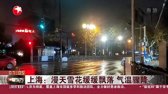 [图]上海：漫天雪花缓缓飘落 气温骤降