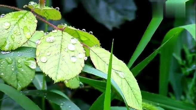 [图]纯音乐When It Rains(下雨的时候)