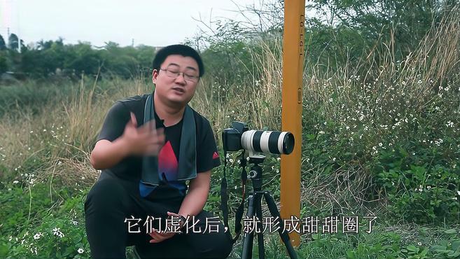甜甜圈·折返滤镜拍花II