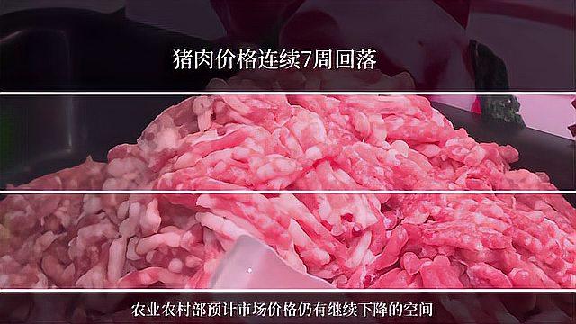 猪肉价格连续7周回落 吃肉更香了,养猪的怎么办?