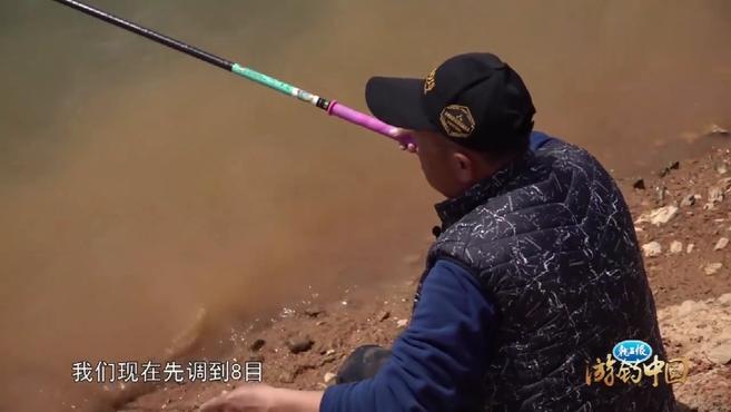 春钓黄尾鲴,针对这种嘴巴朝下的鱼,核心技术是调漂