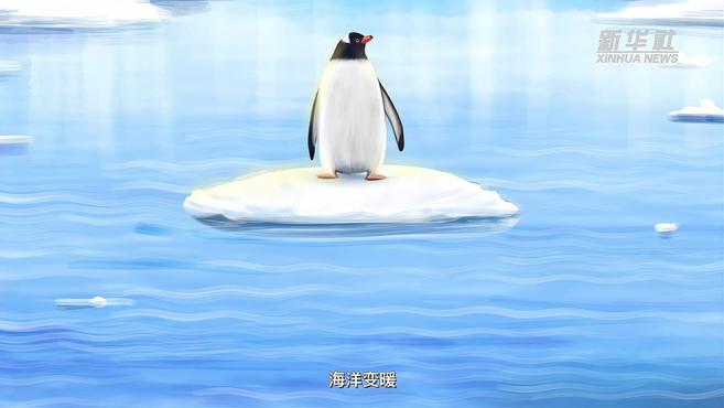 海洋如何影响全球气候?