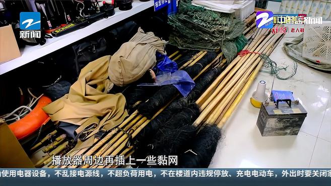 非法捕杀野鸭150余只 玉环5人被刑拘