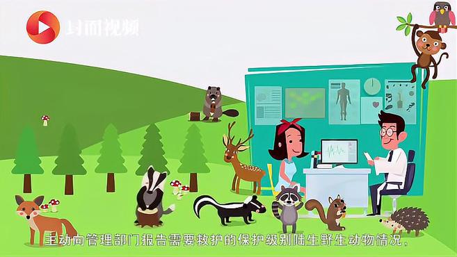 全民义务植树有哪些尽责形式?一起来“涨知识”