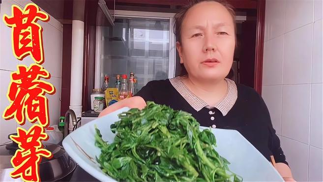 苜蓿芽,它是天然《清肠草》,润肠排毒又减脂,现在吃它最鲜嫩