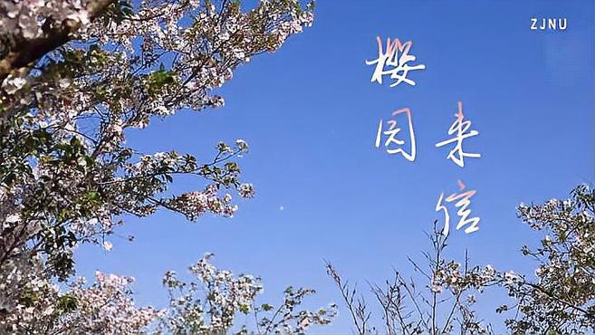 [图]云赏花丨浙师大樱花盛放 与你共赴春天之约